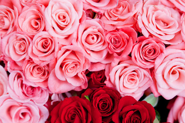 Obraz na płótnie Canvas Pink and red roses as a background for design