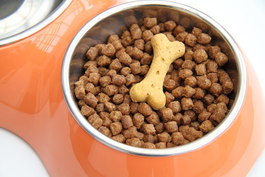Hundefutter