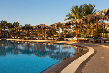tropical swimming pool with paln trees and sun umbrella