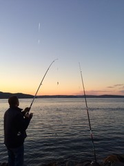 balık yakalama
