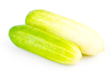 Cucumber