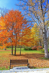 Bench in the autumn park