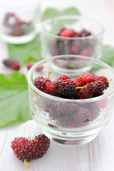 mulberry