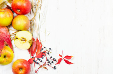 Red apples with cranberry