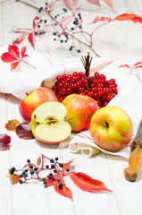 Naklejka na ściany i meble Red apples with cranberry