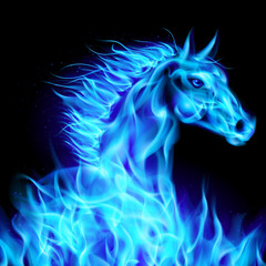Obraz na płótnie Canvas Fire horse.