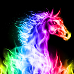 Colorful fire horse.