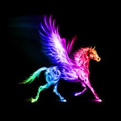 Colorful fire Pegasus.