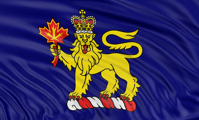 3D governor general flag of Canada