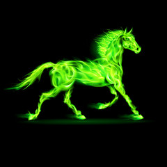 Obraz na płótnie Canvas Green fire horse.