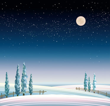 Winter starry landscape