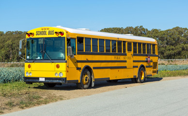 Fototapeta na wymiar School bus