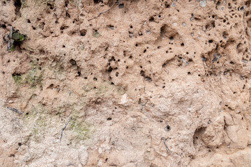 The texture of the sand with the insect burrows