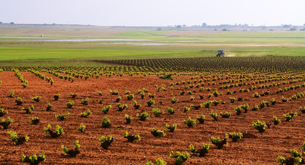 Farming tractor plowing and spraying fields