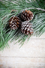 christmas fir tree with pinecones