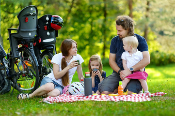 Fototapeta na wymiar Family of four picnicking in the park