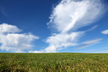 grüne Wiese mit blauem Wolkenhintergrund