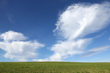grüne Wiese mit blauem Wolkenhintergrund