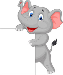 Funny elephant cartoon and blank sign