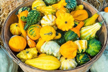 Basket of decorative gourds on display