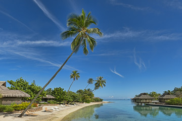 Obraz premium Französisch-Polynesien-Moorea-6558