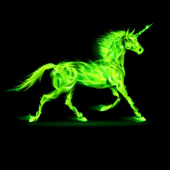 Obraz na płótnie Canvas Green fire unicorn.