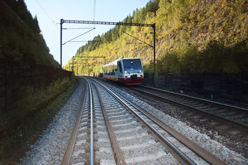 Fototapeta premium Train on the railway