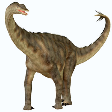 Spinophorosaurus over White