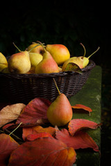 Frische Birnen nach der Ernte