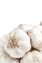 Isolated garlic bunch on white background