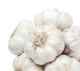 Isolated garlic bunch on white background