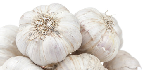 Isolated garlic bunch on white background