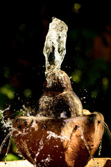 Water Fountain