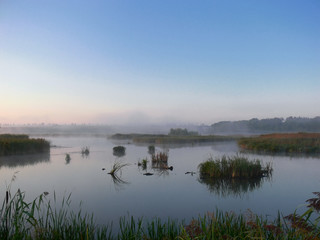 Obraz na płótnie Canvas View Over Swamp