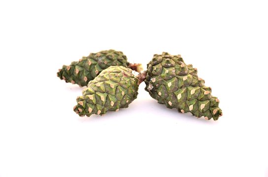 three green cones