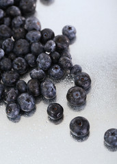 Blueberries on metal background