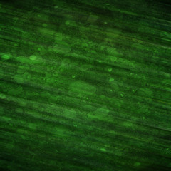 green background