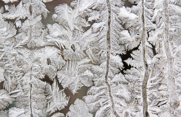 frost on the glass.
