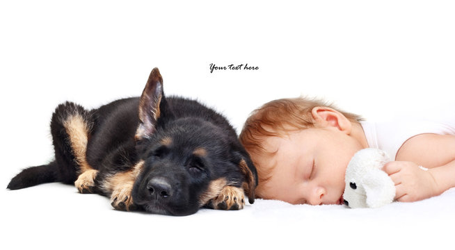 Sleeping Baby Boy with toy dog and puppy.