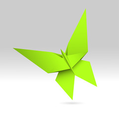 motyl origami © Rzoog