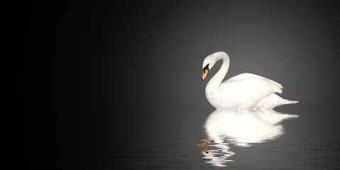 Deurstickers Mute swan © frenta