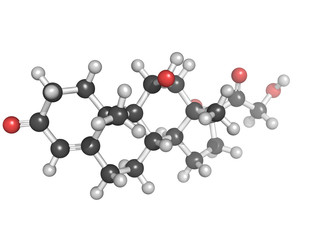 Cortisol ball and stick model