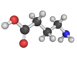 Chemical structure of gamma-aminobutyric acid (GABA)