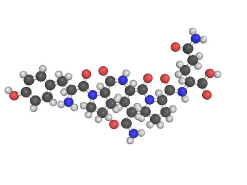Chemical structure of gliadin
