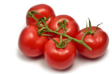 Rispen-Tomaten