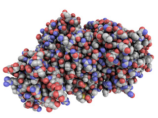 Chemical structure of ricin