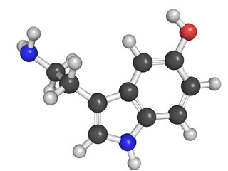 Chemical structure of serotonin