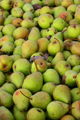 pears 2