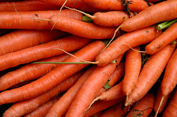 Carrots