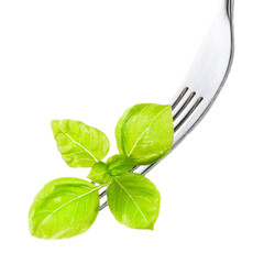 Fresh Sweet Basil leaf on fork isolated on white background cuto